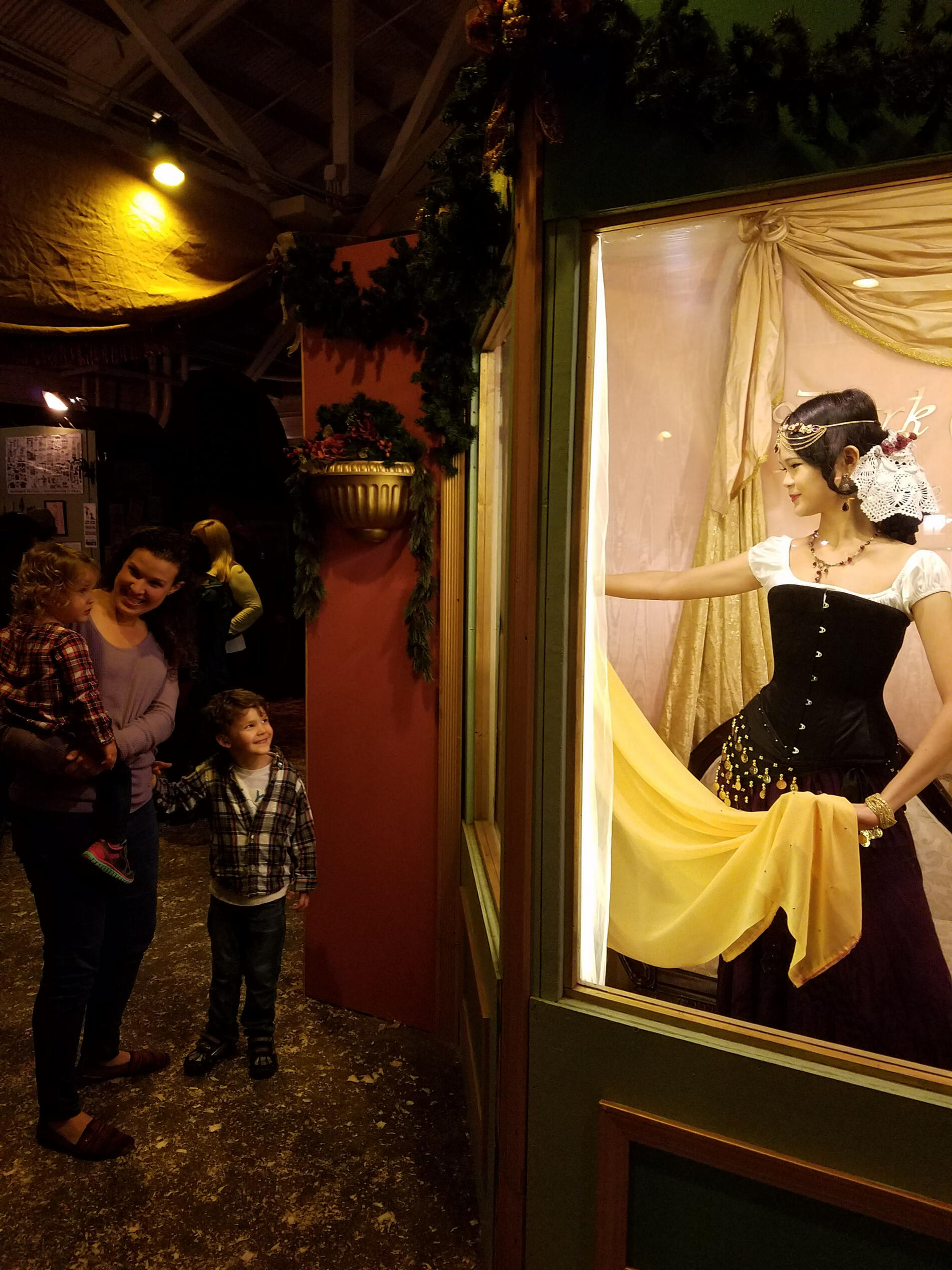 Model - Live Window Display